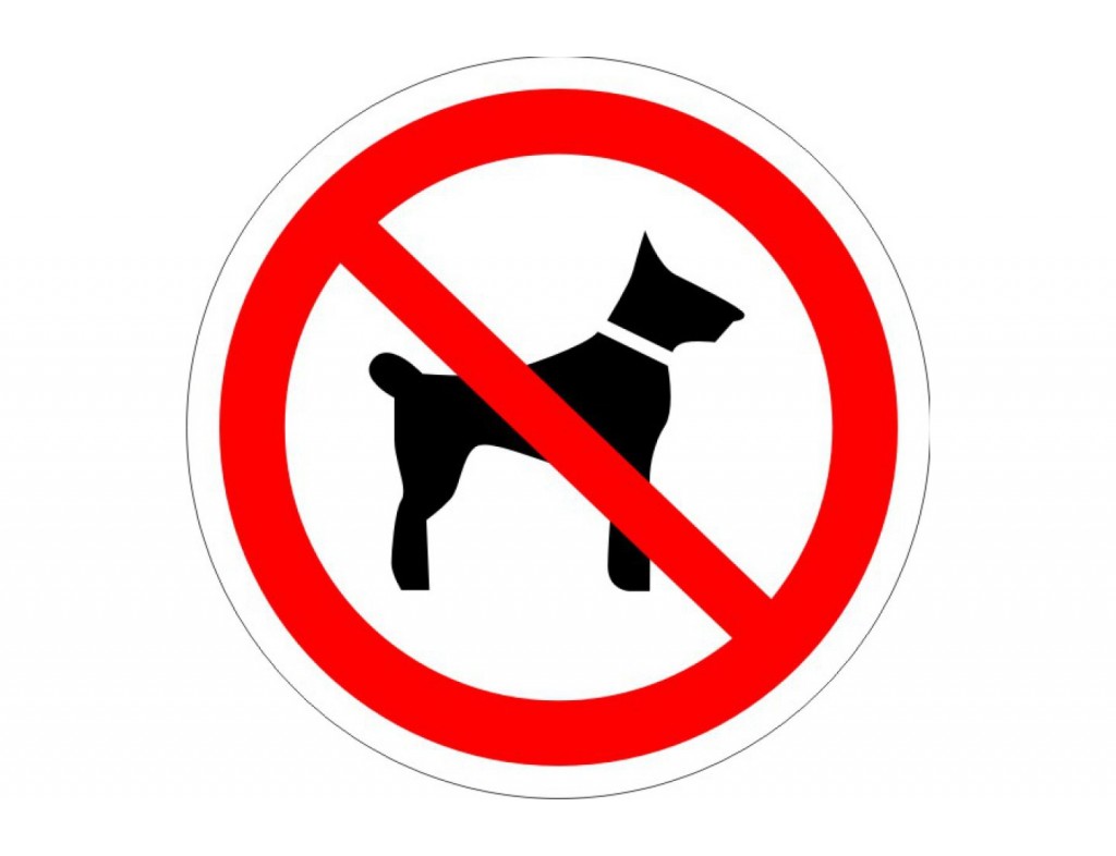 Перечеркнутая собака в круге. Знак выгул собак запрещен. Вход с собаками запрещен табличка. Запрещается выгуливать животных. Наклейка выгул собак запрещен.